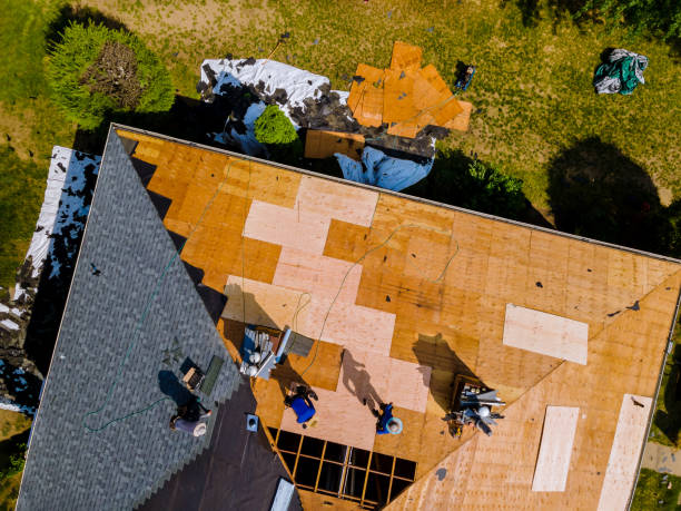 Quick and Trustworthy Emergency Roof Repair Services in Moore Haven, FL